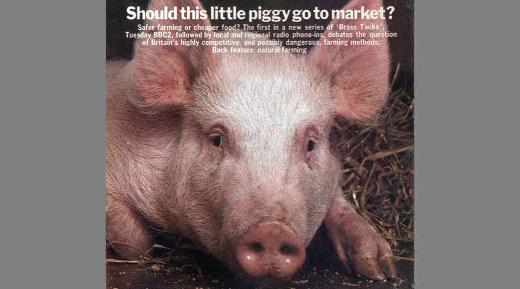 Sick Pig, Radio Times