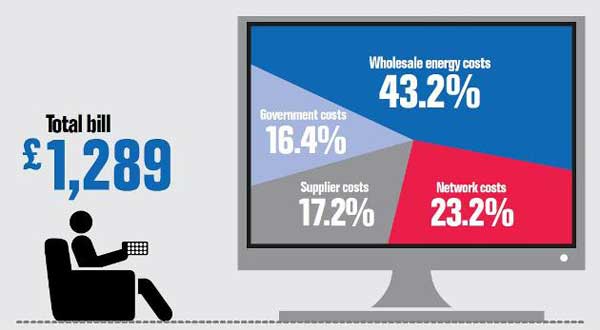 What makes up our energy bill? - Npower, 1 March 2013
